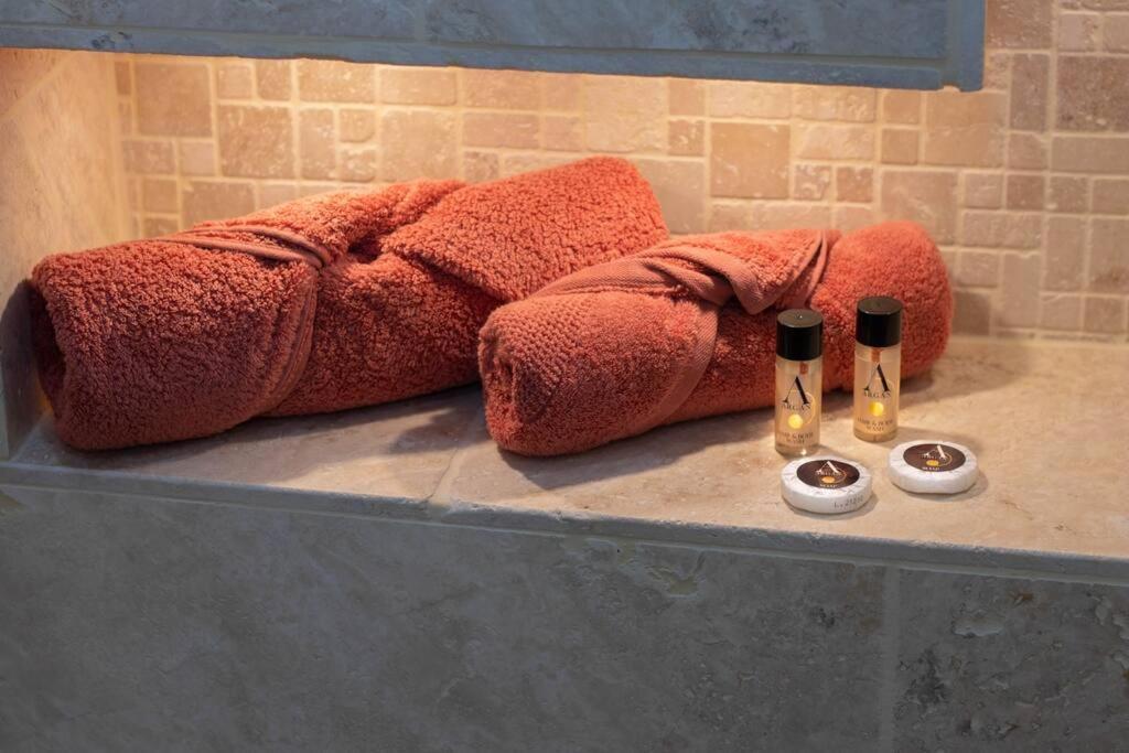 Le Papillon Apartment Aubenas Bagian luar foto